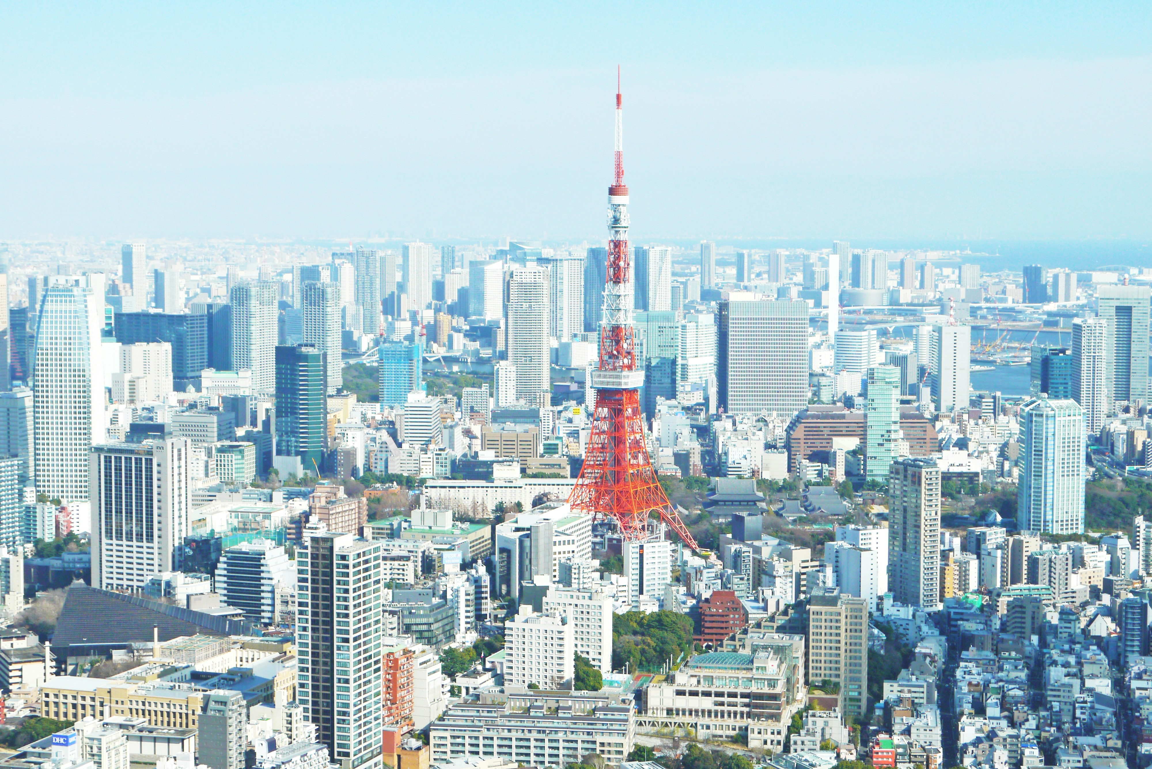 信頼関係の構築
